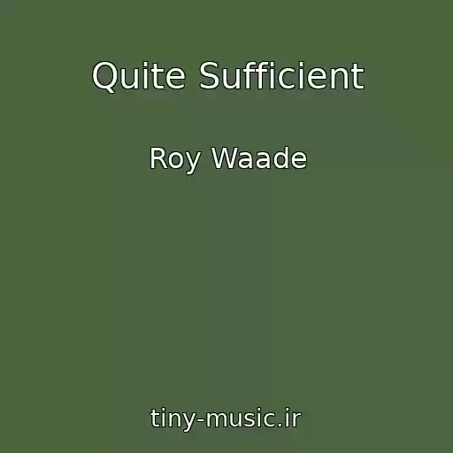 کاور آهنگ Quite Sufficient از Roy Waade