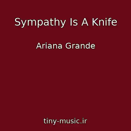 کاور آهنگ Sympathy Is A Knife از Ariana Grande