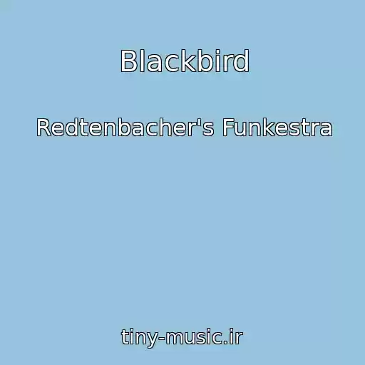 کاور آهنگ Blackbird از Redtenbacher's Funkestra