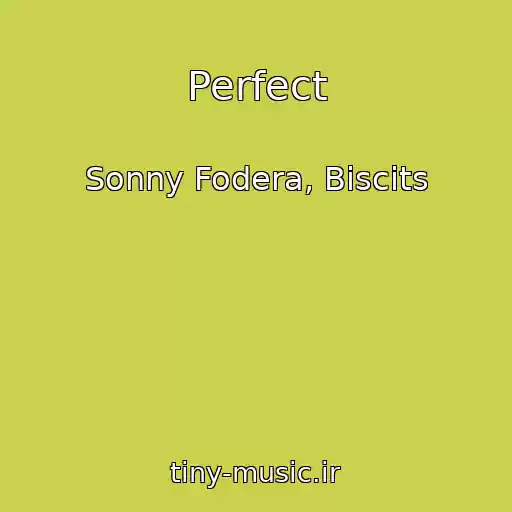 کاور آهنگ Perfect از Sonny Fodera, Biscits