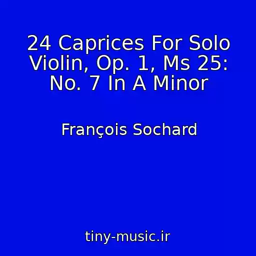 کاور آهنگ 24 Caprices For Solo Violin, Op. 1, Ms 25: No. 7 In A Minor از François Sochard