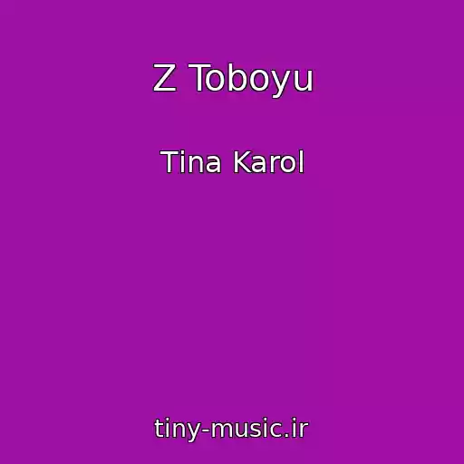 کاور آهنگ Z Toboyu از Tіna Karol