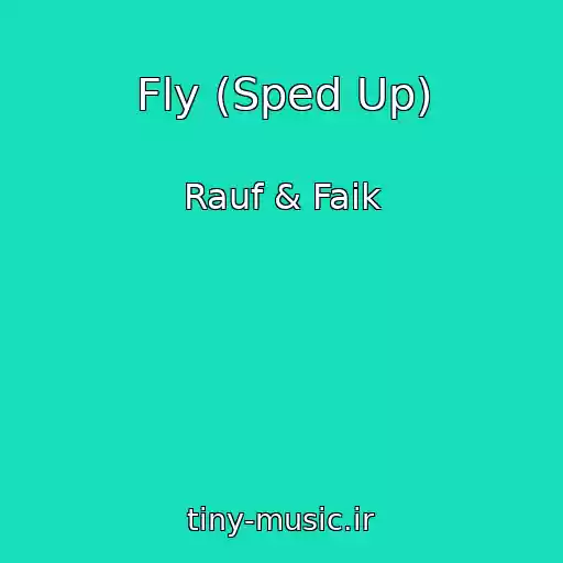 کاور آهنگ Fly (Sped Up) از Rauf & Faik