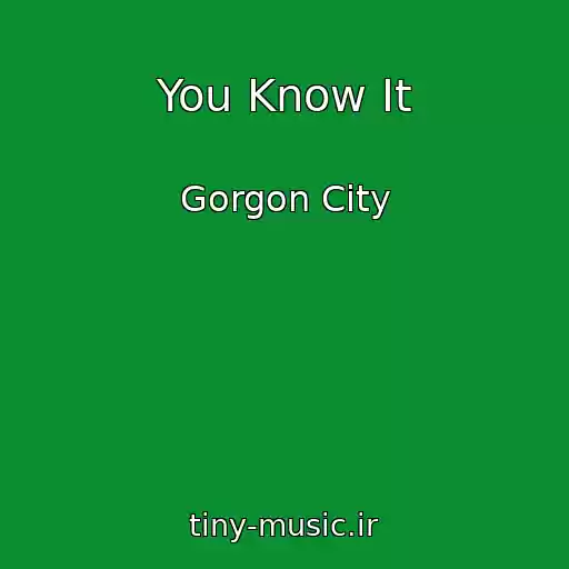 کاور آهنگ You Know It از Gorgon City
