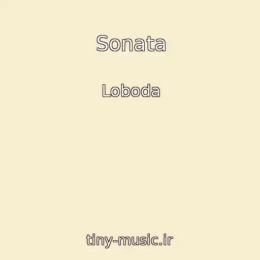 کاور آهنگ Sonata از Loboda