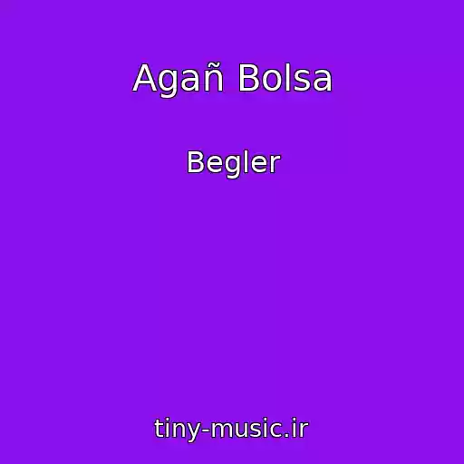 کاور آهنگ Agañ Bolsa از Begler