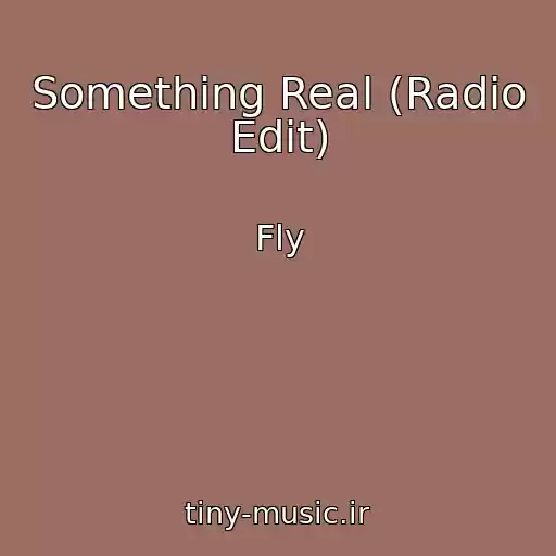 کاور آهنگ Something Real (Radio Edit) از Fly