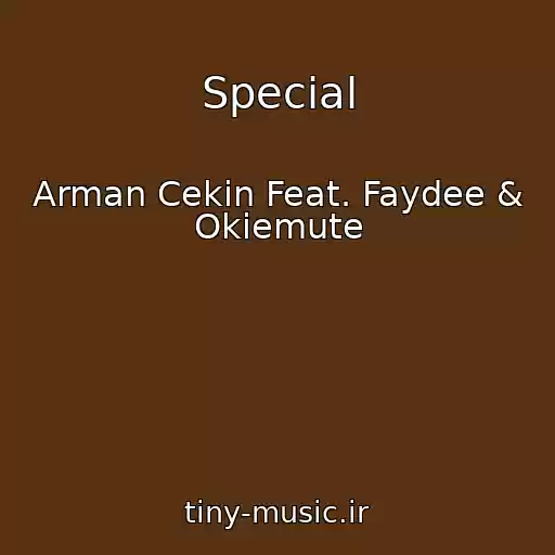 کاور آهنگ Special از Arman Cekin Feat. Faydee & Okiemute