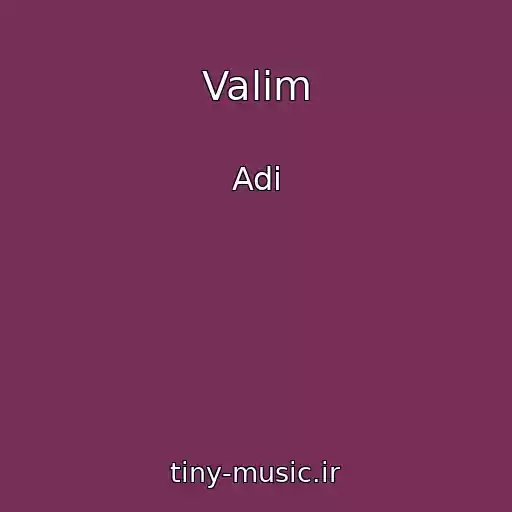 کاور آهنگ Valim از Adi