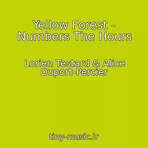 کاور آهنگ Yellow Forest - Numbers The Hours از Lorien Testard & Alice Duport-Percier