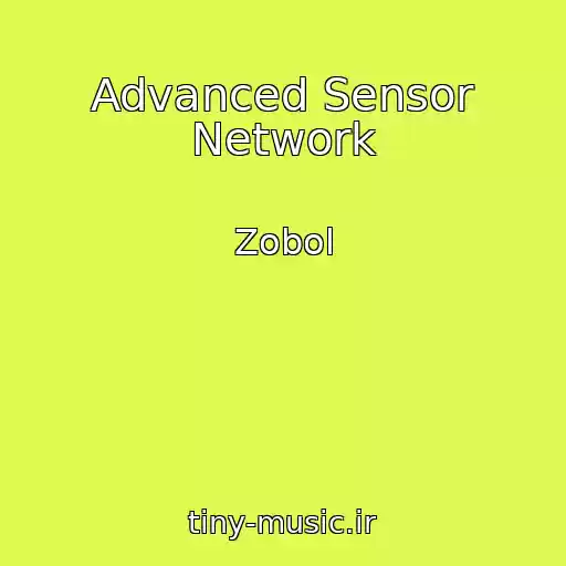 کاور آهنگ Advanced Sensor Network از Zobol