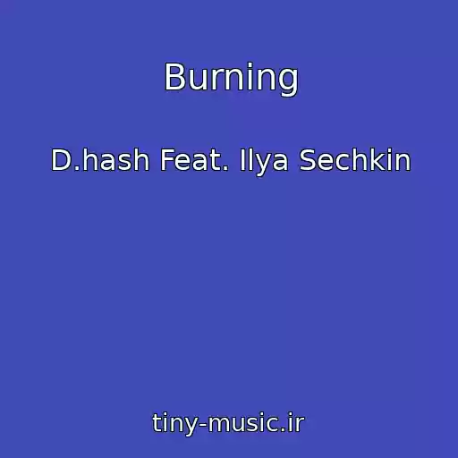 کاور آهنگ Burning از D.hash Feat. Ilya Sechkin