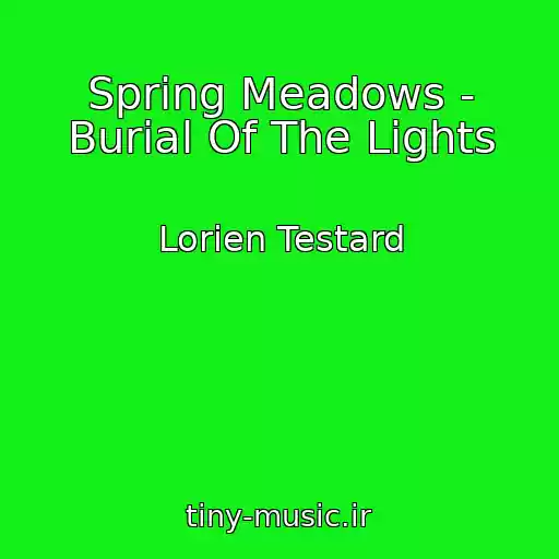 کاور آهنگ Spring Meadows - Burial Of The Lights از Lorien Testard