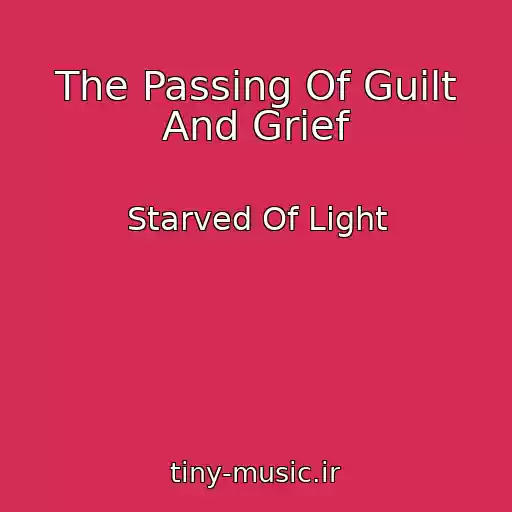 کاور آهنگ The Passing Of Guilt And Grief از Starved Of Light
