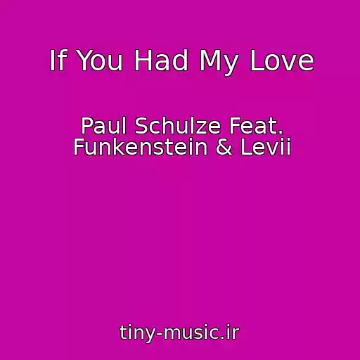 کاور آهنگ If You Had My Love از Paul Schulze Feat. Funkenstein & Levii