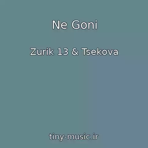 کاور آهنگ Ne Goni از Zurik 13 & Tsekova