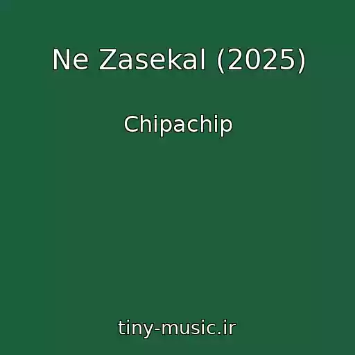 کاور آهنگ Ne Zasekal (2025) از Chipachip