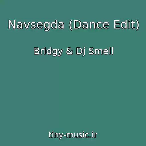 کاور آهنگ Navsegda (Dance Edit) از Bridgy & Dj Smell