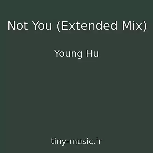 کاور آهنگ Not You (Extended Mix) از Young Hu