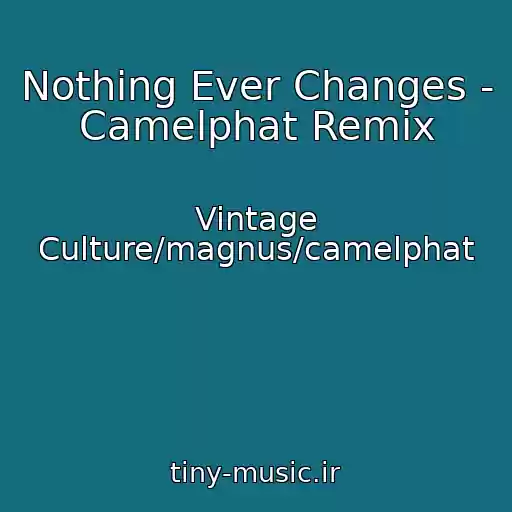 کاور آهنگ Nothing Ever Changes - Camelphat Remix از Vintage Culture/magnus/camelphat