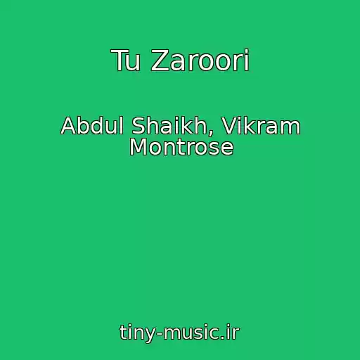 کاور آهنگ Tu Zaroori از Abdul Shaikh, Vikram Montrose
