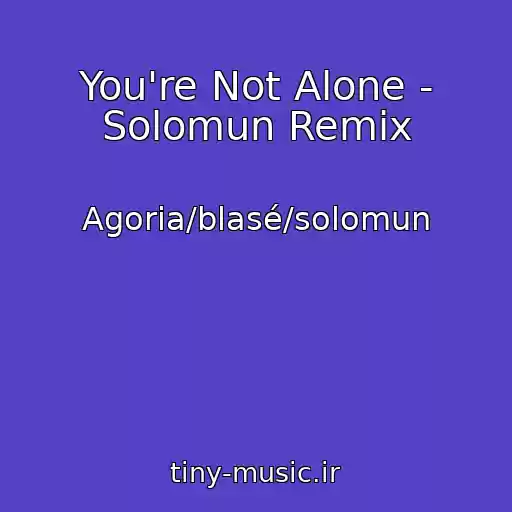 کاور آهنگ You're Not Alone - Solomun Remix از Agoria/blasé/solomun