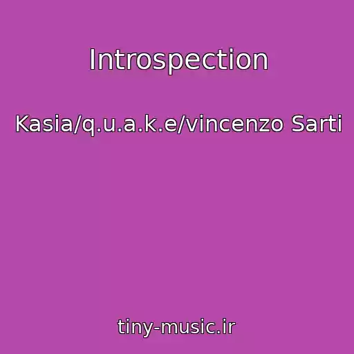 کاور آهنگ Introspection از Kasia/q.u.a.k.e/vincenzo Sarti