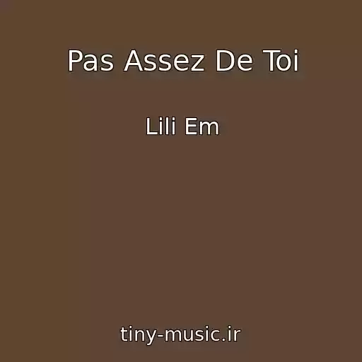 کاور آهنگ Pas Assez De Toi از Lili Em