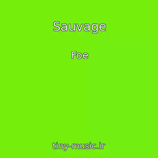 کاور آهنگ Sauvage از Foe