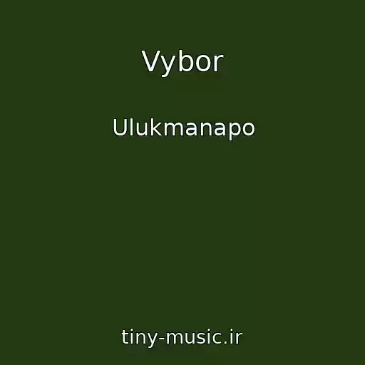 کاور آهنگ Vybor از Ulukmanapo