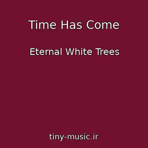 کاور آهنگ Time Has Come از Eternal White Trees