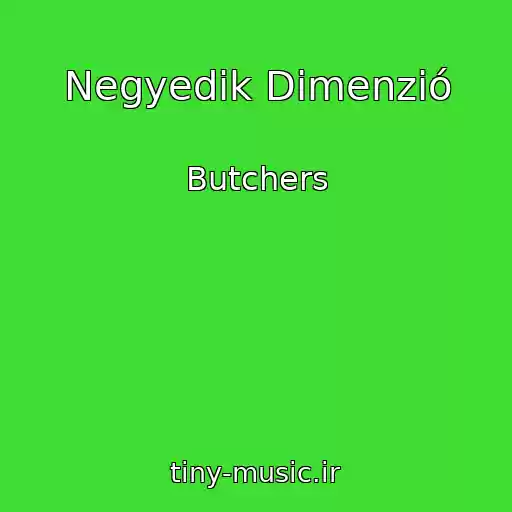 کاور آهنگ Negyedik Dimenzió از Butchers