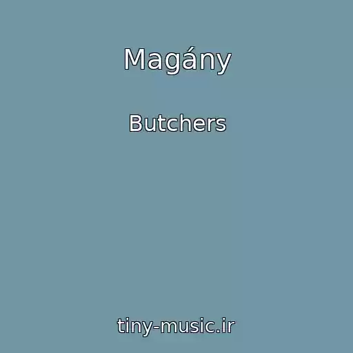 کاور آهنگ Magány از Butchers