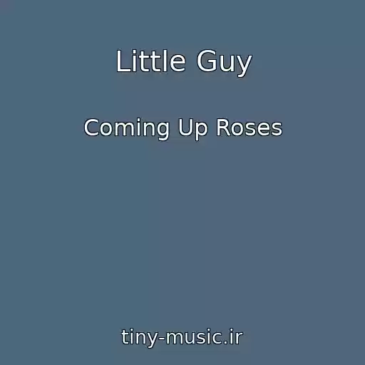 کاور آهنگ Little Guy از Coming Up Roses