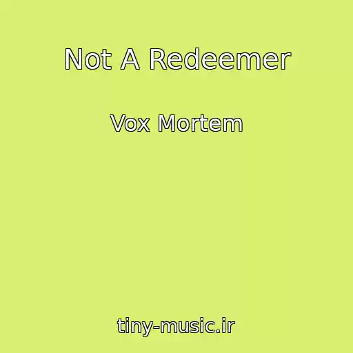 کاور آهنگ Not A Redeemer از Vox Mortem