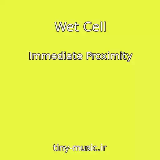 کاور آهنگ Wet Cell از Immediate Proximity