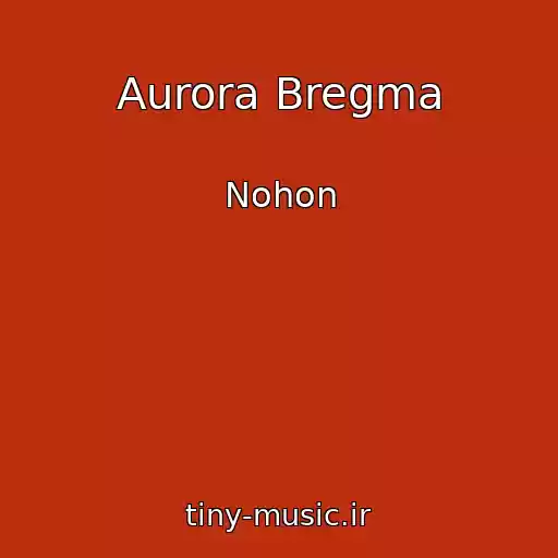 کاور آهنگ Aurora Bregma از Nohon