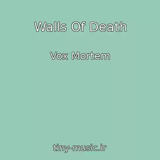کاور آهنگ Walls Of Death از Vox Mortem