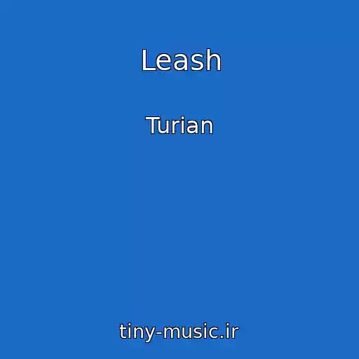 کاور آهنگ Leash از Turian