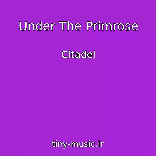کاور آهنگ Under The Primrose از Citadel