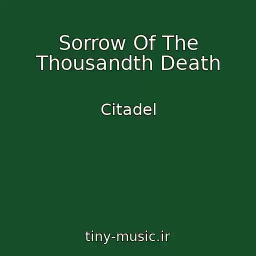 کاور آهنگ Sorrow Of The Thousandth Death از Citadel