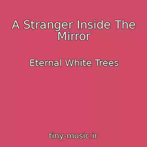 کاور آهنگ A Stranger Inside The Mirror از Eternal White Trees