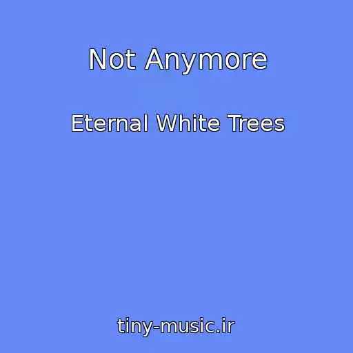 کاور آهنگ Not Anymore از Eternal White Trees