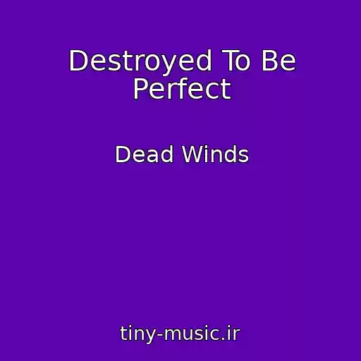 کاور آهنگ Destroyed To Be Perfect از Dead Winds