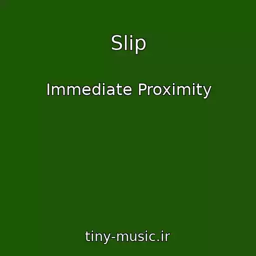 کاور آهنگ Slip از Immediate Proximity