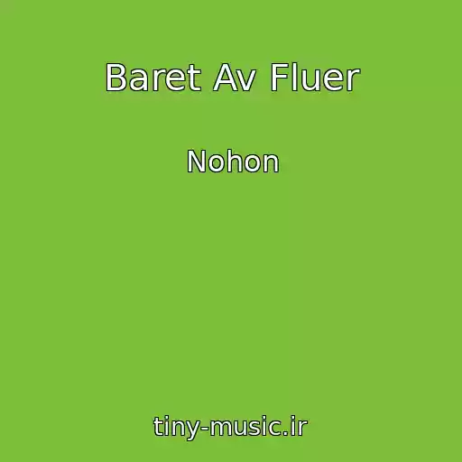 کاور آهنگ Baret Av Fluer از Nohon
