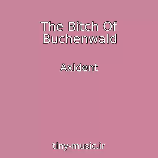 کاور آهنگ The Bitch Of Buchenwald از Axident