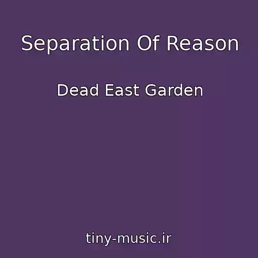 کاور آهنگ Separation Of Reason از Dead East Garden