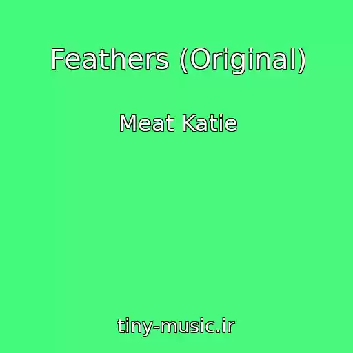 کاور آهنگ Feathers (Original) از Meat Katie