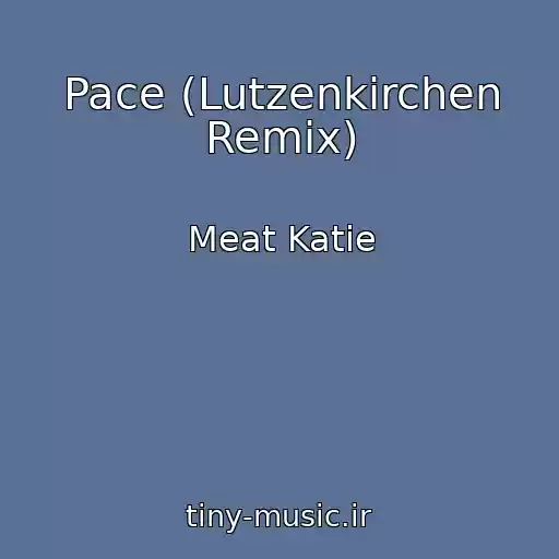 کاور آهنگ Pace (Lutzenkirchen Remix) از Meat Katie
